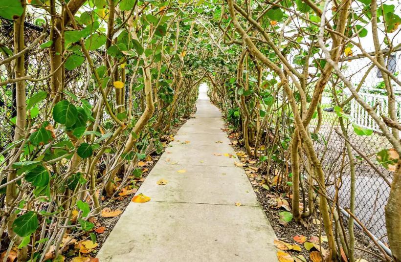Dog Friendly Condo With Beach Access, Hot Tub, Firepit West Palm Beach Eksteriør bilde